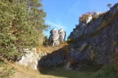 Góra Zborów1