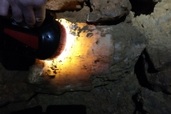 Jaskinia Głęboka - kalcyt